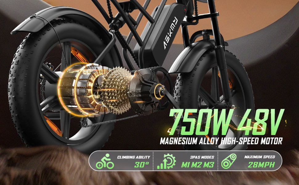 750W Electric Bike: Power, Performance and Practicality