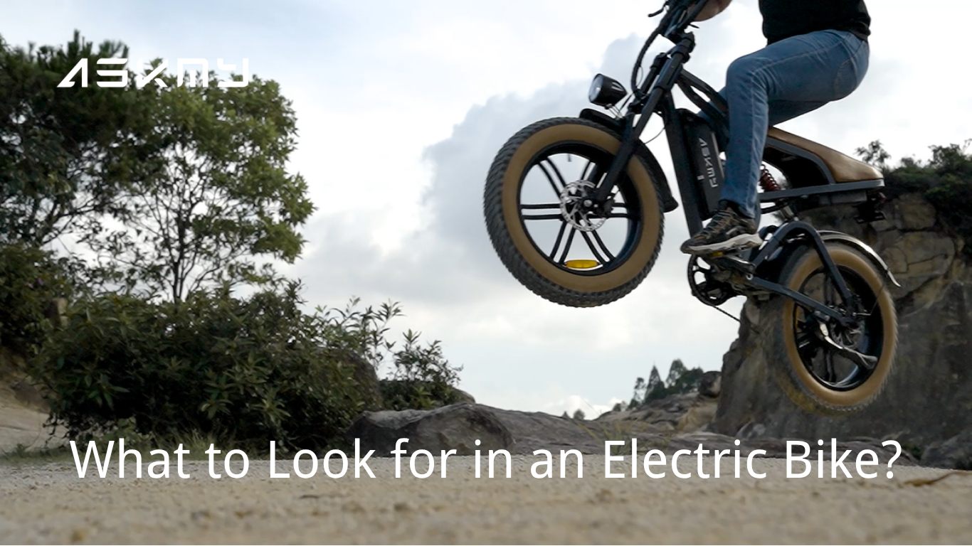 What to Look for in an Electric Bike?