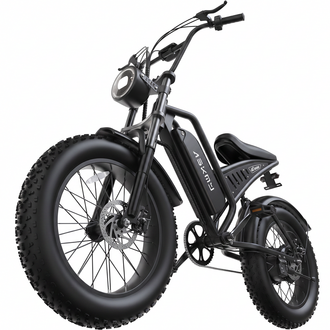 ASKMY E200 E-bike (48V 1000W)