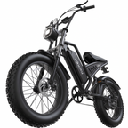 ASKMY E200 E-bike (48V 1000W)