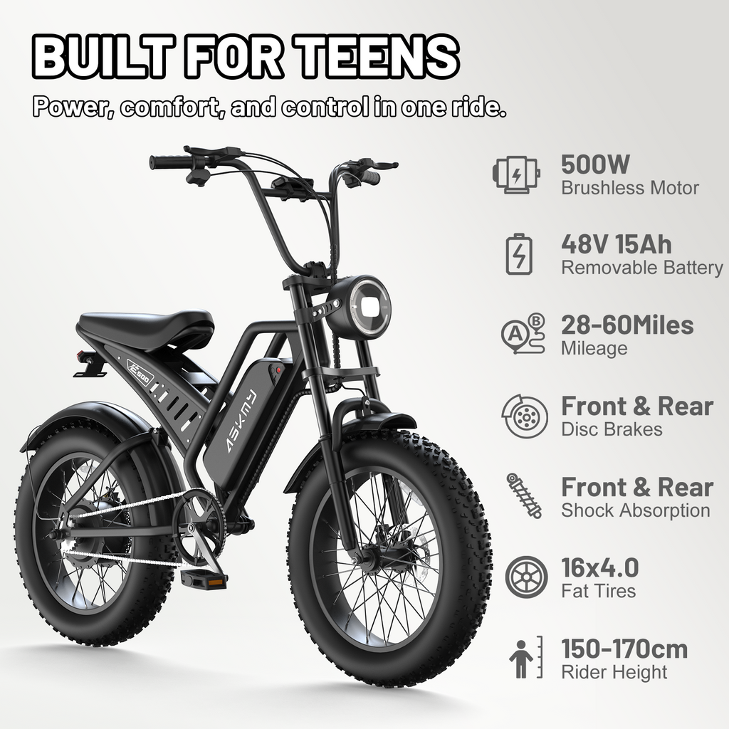 ASKMY E200 E-bike (48V 1000W)