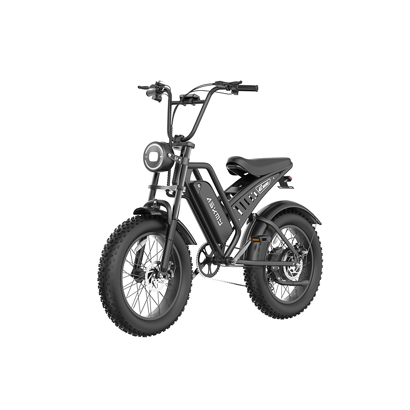 Amazing Value With The Askmy E500 Electric Bike