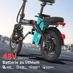 E14 48V Folding E-Bike: 800W Peak Motor, 14" Tubeless Tires, LED Display