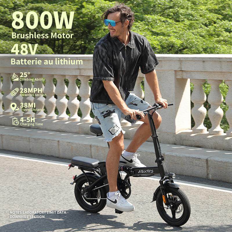 E14 48V Folding E-Bike: 800W Peak Motor, 14