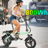 E14 48V Folding E-Bike: 800W Peak Motor, 14