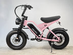 ASKMY E200 E-bike (48V 1000W)