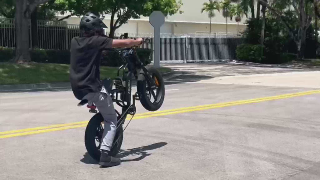 ASKMY E500 E-bike （48V 1000W）